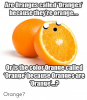 are-orangescalled-oranges-becausetheyre-orange-oristhecolororangecalled-orange-becauseorangesa...png