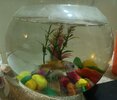 IMG-20231204-WA0001.jpg