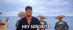 hey-senorita-hey-there.gif