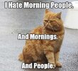 images (73).jpeg