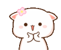 cute-cat.gif