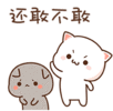 cat-fight.gif