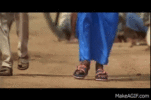 b-A9KX.gif b-A9KX.gif