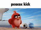 angry-birds-peacox-long-kick-9j121rccr7s6o94n.gif