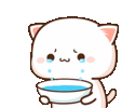 peach-cat.gif