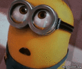 WsBv.gif