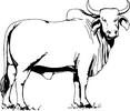 1704881307149.png