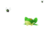 FrogDeal4a_clear.gif