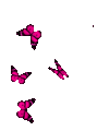 flying-pink-butterfly-stickers-wpamgazg0ds9dv6a (1).gif