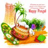 happy-pongal-2024-share-greetings-images-wishes-greetings-and-quotes-2-2024-01-e393f9e461992da...jpg