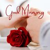 Romantic-Good-Morning-Images-19-1024x1024.jpg