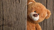 HD-wallpaper-brown-teddy-bear-in-wood-wall-background-teddy-bear.jpg