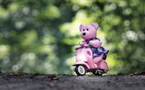 HD-wallpaper-pink-teddy-bear-riding-a-scooter-cute-toys-pink-bear-scooter-riding-a-scooter.jpg