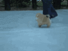 1000019149.gif