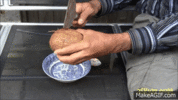 1000152779.gif