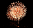 fireworks-icegif-4.gif