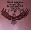 FB_IMG_1708491324980.jpg