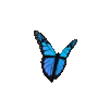 blue-monarch-butterfly-sticker-qm1j6342t084dtbg.gif