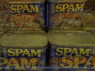 spam-email.gif
