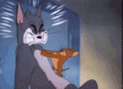 tenor.gif tenor.gif