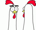 IMG_6916.gif