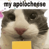 my-apologies-cheese.gif
