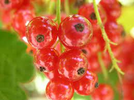 1709961888878.png
