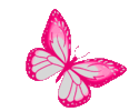 445da69142f5e9e62c9c4225eaa90166.gif