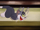 1000011416.gif