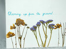 Tattooed-Martha-Dried-Flower-Canvas-Wall-Art-17.jpg