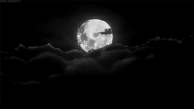 Full Moon GIF - Find & Share on GIPHY.gif