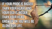 If-your-pride-is-bigger-than-your-heart-and-your-ego-is-bigger-than-your-head-grow-up-or-you-w...jpg