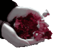 1711763042319.gif