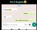 images (14).jpeg