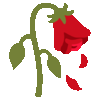 IMG_4884.gif