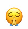 Namaste emoji.jpeg