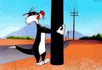1000012233.gif