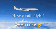 have-a-safe-flight.gif