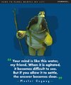 oogway.jpeg