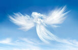 Messenger_creation_9732d459-9431-4731-8da2-9ecc78687191.jpeg Messenger_creation_9732d459-9431-4731-8da2-9ecc78687191.jpeg