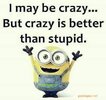 funny-minion-quotes-about-crazy-vs-stupid.jpg