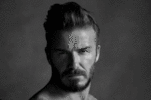 3tLo.gif