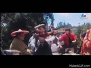 B3Lpne.gif