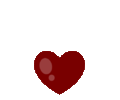 IMG_5970.gif