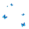 IMG_7639.gif IMG_7639.gif