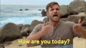 giphy (1).gif