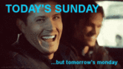 yes-wow.gif