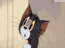 1000013081.gif