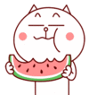 cat-melon.gif