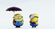 1000013391.gif